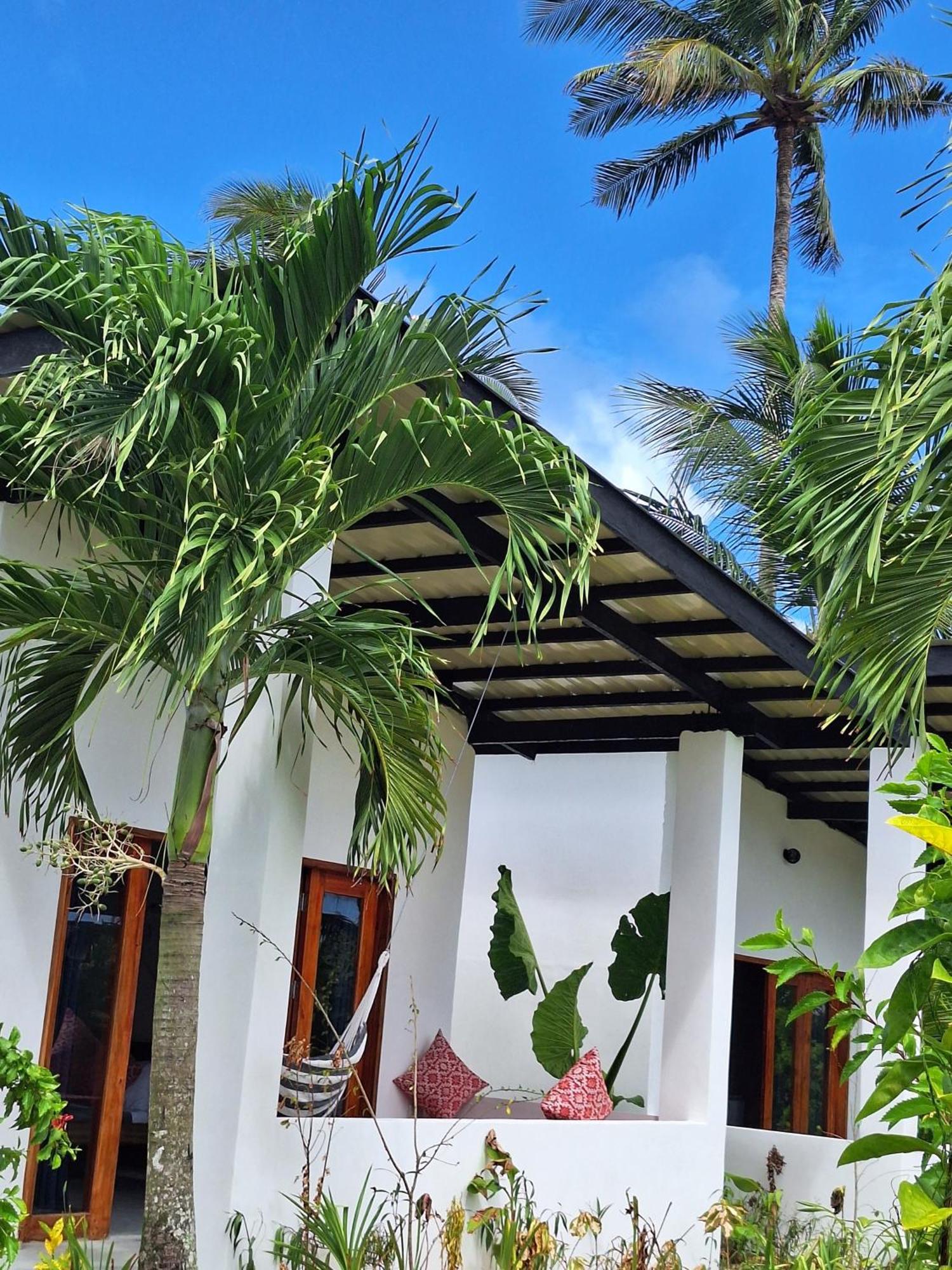Bamboo Surf Beach San Isidro  Dış mekan fotoğraf